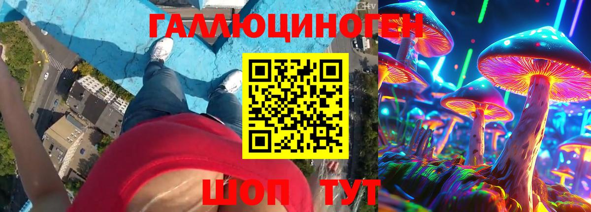 Луга  Псилоцибиновые грибы Psilocybe  Вход с VPN 
