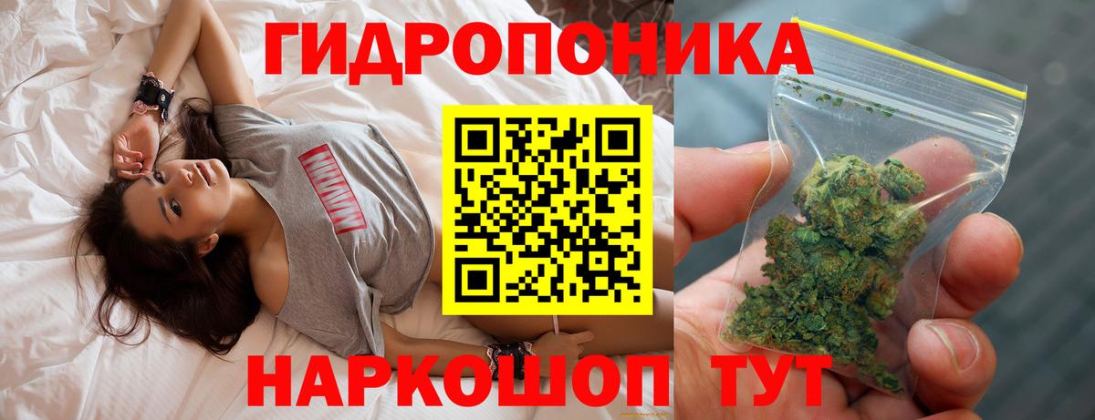 Каннабис семена  Вход с VPN  Луга  Канабис сатива  Каннабис тримм 